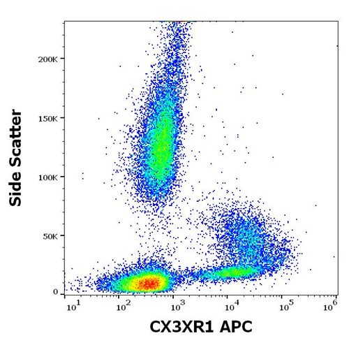 Anti-Human CX3CR1 Monoclonal Antibody (Clone:2A9-1) APC Conjugated